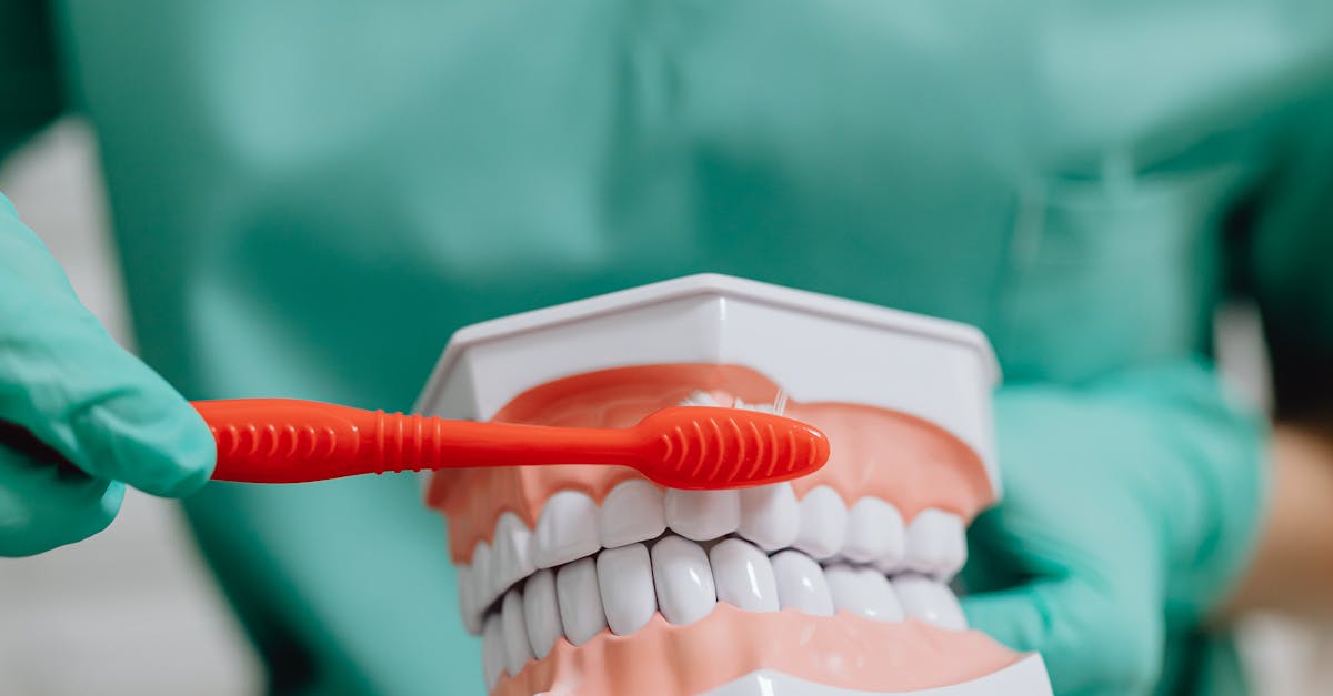 Best Practices for Maintaining Dental Implants Through Regular Appointments